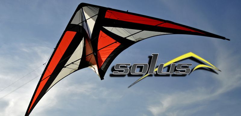 dual line stunt kite
